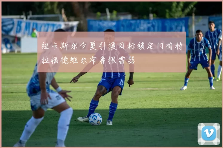 纽卡斯尔今夏引援目标锁定门将特拉福德维尔布鲁根雷瑟