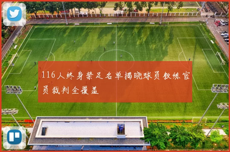 116人终身禁足名单揭晓球员教练官员裁判全覆盖